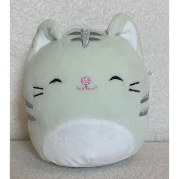 Squishmallows Other - Squishmallows Chase the Cat 7" Stuffed Plush 2022 Mint Green Soft Plushie